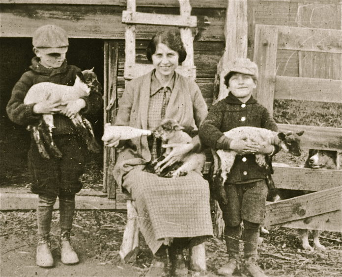 Norman with Dillmans & Lambs 1924