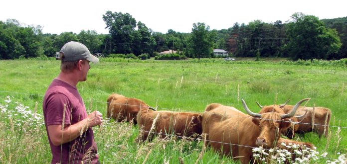 Sepascot Farm