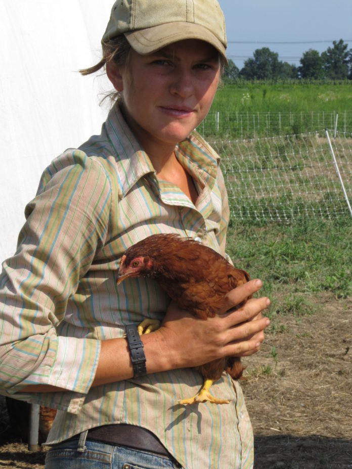 Sparrow Bush Farm