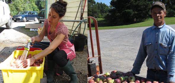 Montgomery Place Orchards