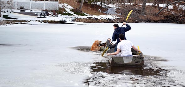 Icy rescue - dog and owner