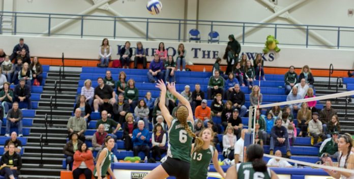 Sports_FDR_volleyball (1024x518)