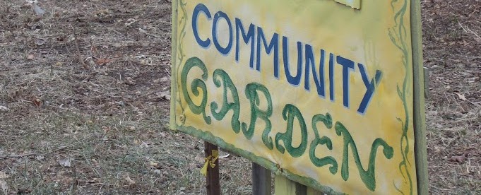 Hyde_Park_Community_Garden_Bob_Kampf