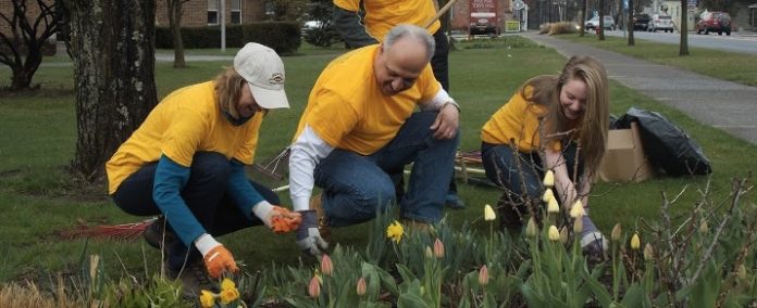 HP VEC and Lions clean-up