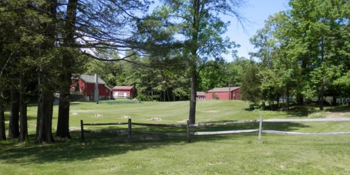 Hackett_Hill_Park_Hyde_Park_Guinea