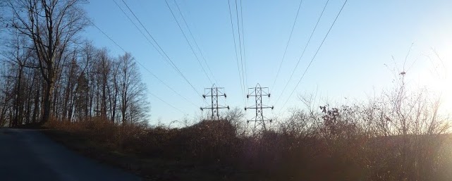 P1060685