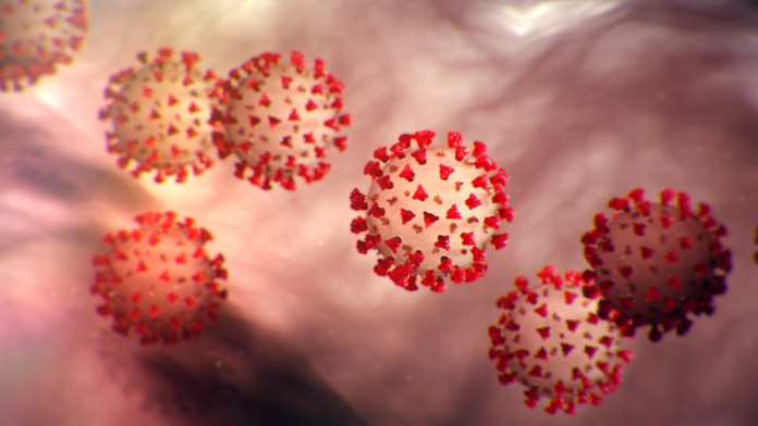 Coronavirus Artist rendering of Coronavirus